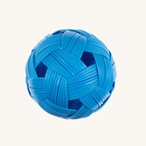 Blue ball for dog